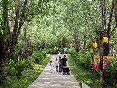 -西部长青自然儿童乐园