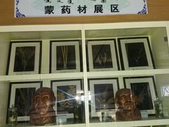 -内蒙古自治区国际蒙医医院(总院)