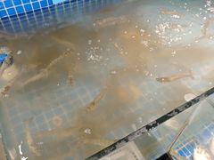 -小时候焗海鲜(鄞州万达店)