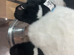 -熊猫屋(宽窄巷子景区店)