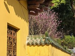 -南华禅寺