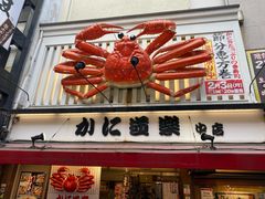 -蟹道乐(道顿堀本店)