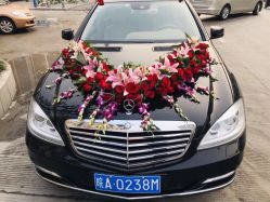 -蚂蚁婚车