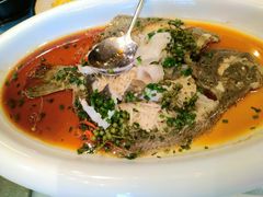 鲜花椒多宝鱼-尚都餐饮