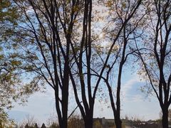 -春晖园度假酒店温泉