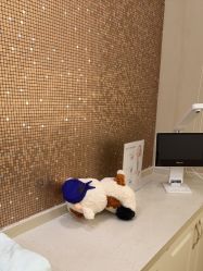 -上海首尔丽格医疗美容医院