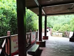 -大亚湾红树林城市湿地公园