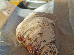 羊打滚-OUR Bakery(三里屯太古里店)