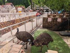 -金庭庄园酒店-停车场