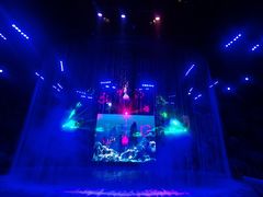 -芜湖新华联大白鲸海洋公园