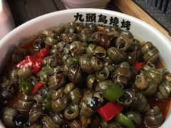 -唐力九头鸟烧烤·罗田吊锅(西云楼店)