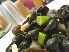 养生小木耳-骏莱海鲜鱼港(五角场店)