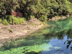 -石台牯牛降景区