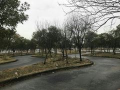 -无忧学车·华茂基地(宝山校区)