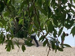 -洱海月湿地公园