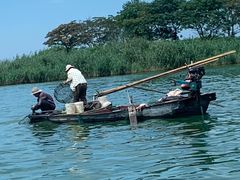 -微山湖红荷湿地景区