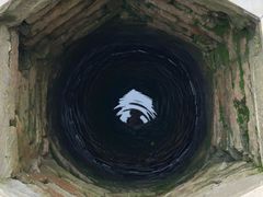 -小鱼草莓采摘园农家乐·小鱼餐厅