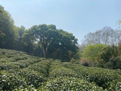 -杭州黄龙洞