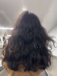 -程Studio