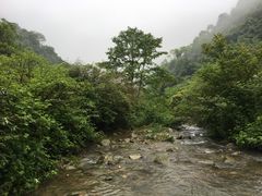 -龙窝子