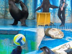 -华夏文旅西安度假区