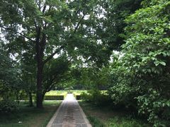 -洛阳市隋唐城遗址植物园