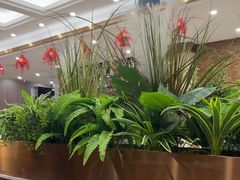 -红菜坊·烤鸭·川鲁宴(石园店)