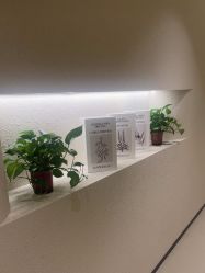 -美丽妈妈产后恢复中心(三林店)