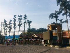 -重庆海昌加勒比海水世界