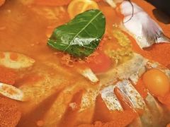 -大龙燚·旷野鲜火锅(广州首店)