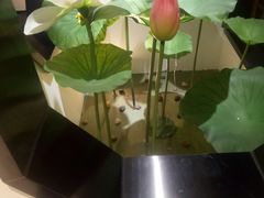 -徽味大班(定慧桥店)