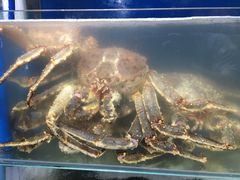 -蚝专家(北滘店)