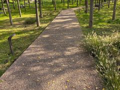 -汉长安城未央宫国家考古遗址公园