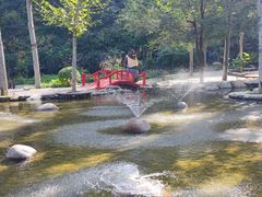 -幽岚山·童话森林