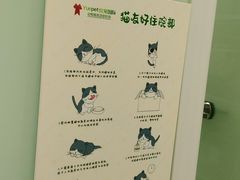 -悦宠凯宝动物医院·牙科·皮肤科(朝阳北路店)
