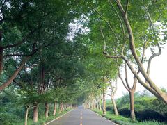 -宜兴龙背山森林公园