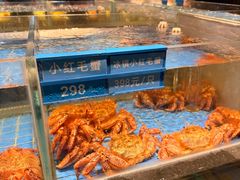 -青蓬蒸汽海鲜·深圳老字号·团建聚会(壹方城店)