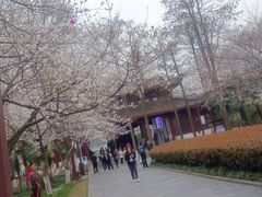 -堤角公园
