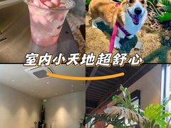 -J Create城市露营咖啡·简餐·宠物(上海动物园店)