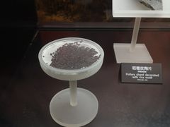 -河姆渡遗址博物馆