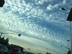 -春花秋色城市公园