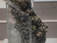 -湖南省地质博物馆