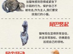 -纳吉亚猫专科动物医院·北北分院