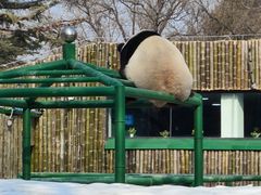 -天津市动物园