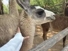 -鄂尔多斯野生动物园