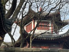 -上海佘山国家森林公园天马山园