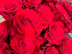 -ROSEONLY诺誓(沈阳万象城店)