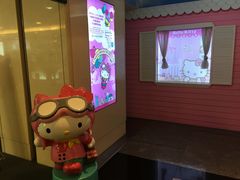 -升恒昌免税商店(桃园国际机场店)