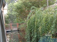-晶泽丽琅·鱼鲜川菜(川师店)
