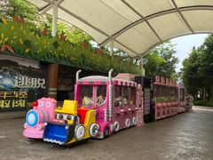 -美的鹭湖探索王国